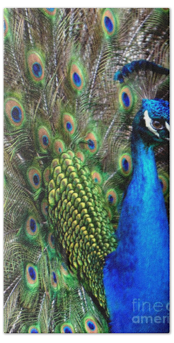 Indian Peacock Hand Towel featuring the photograph Indian Peacock II by Lilliana Mendez