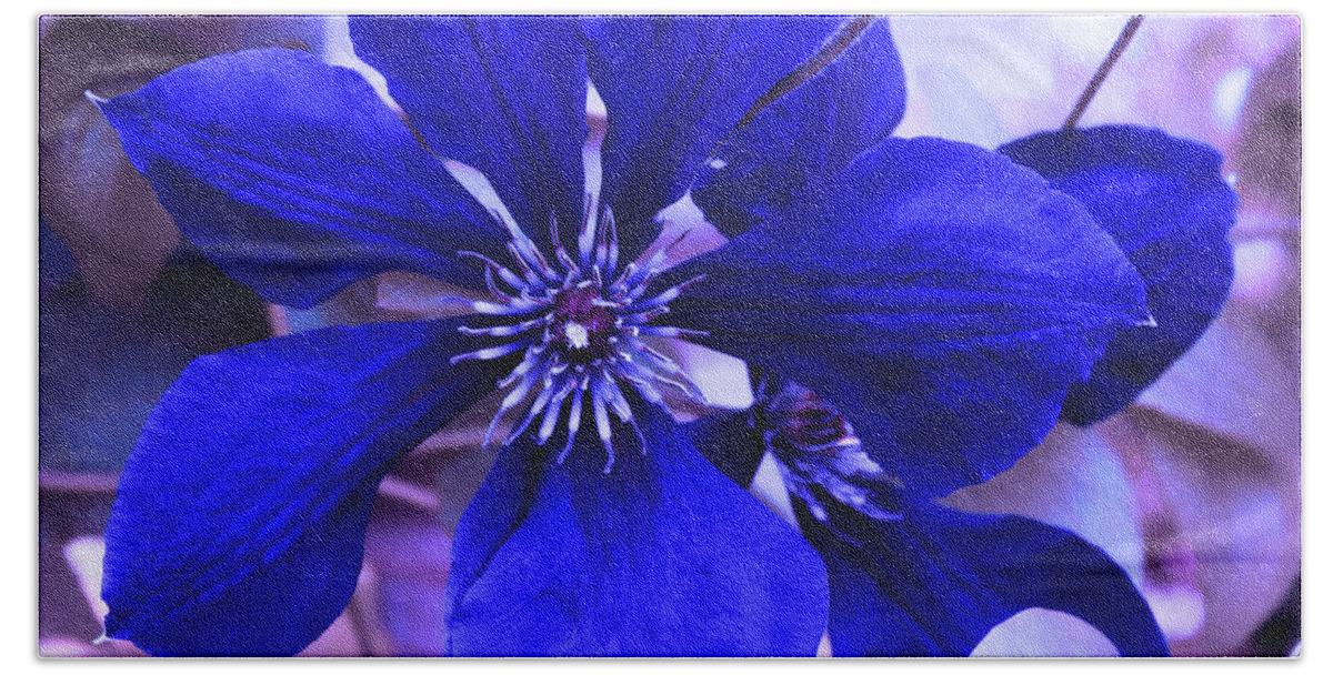  Blue Flower Bath Towel featuring the photograph Indigo Flower by Milena Ilieva