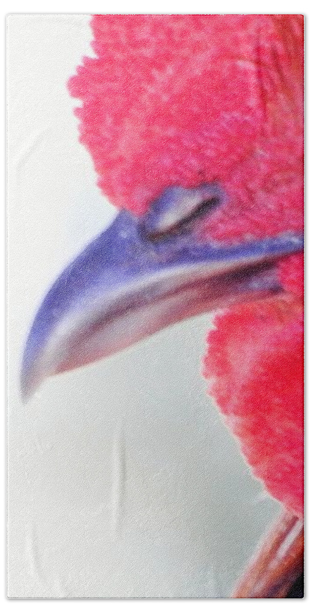 Rooster Bath Towel featuring the photograph Instinctive Survival by Jan Gelders
