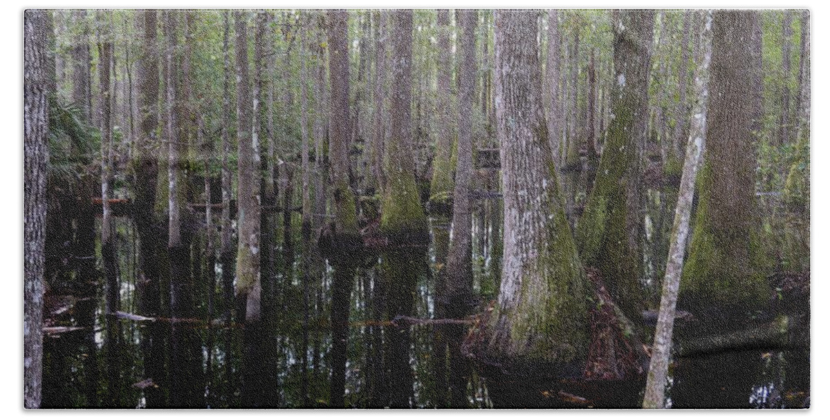 Into The Cypress Swamp Bath Towel featuring the photograph Into the Cypress Swamp by Warren Thompson