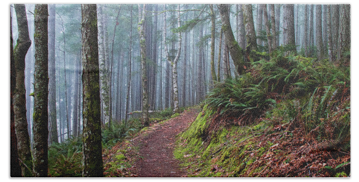 Forest Hand Towel featuring the photograph Into the Misty Forest by Peggy Collins