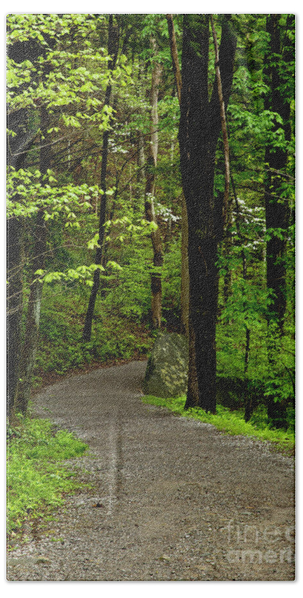 Paths Bath Towel featuring the photograph Into the Woods by Kathy McClure