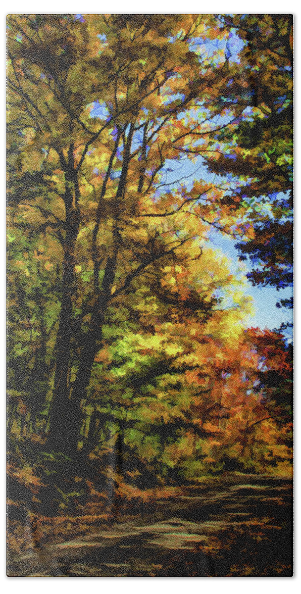2006 Hand Towel featuring the photograph Into the Woods by Monroe Payne