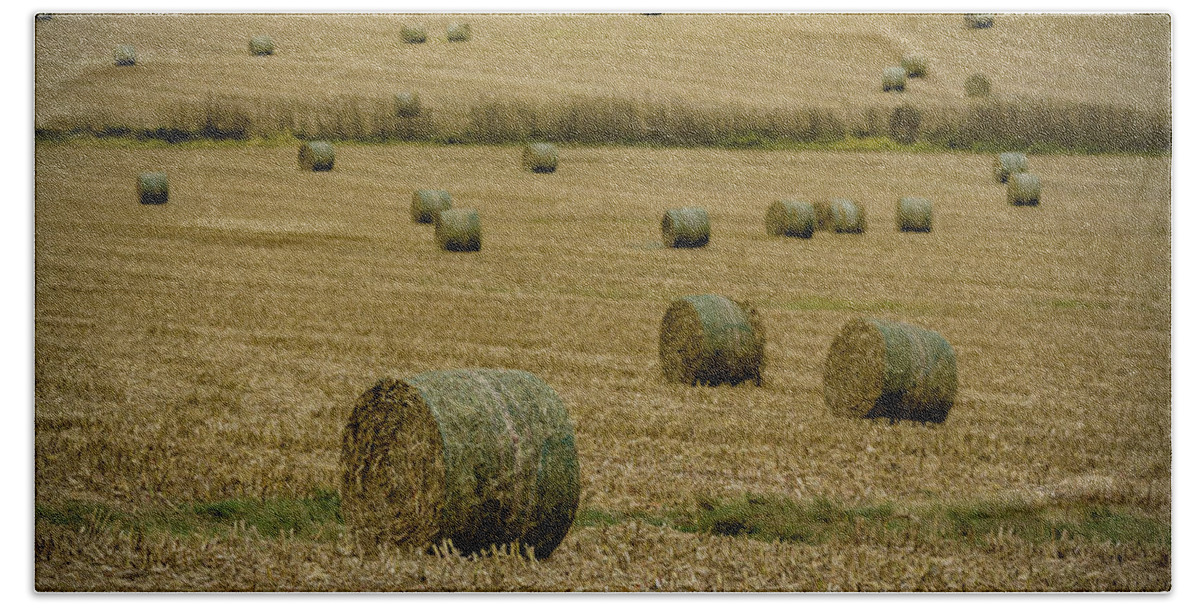 Hay Field Bath Towel featuring the photograph Iowa Hayscape by Ray Congrove