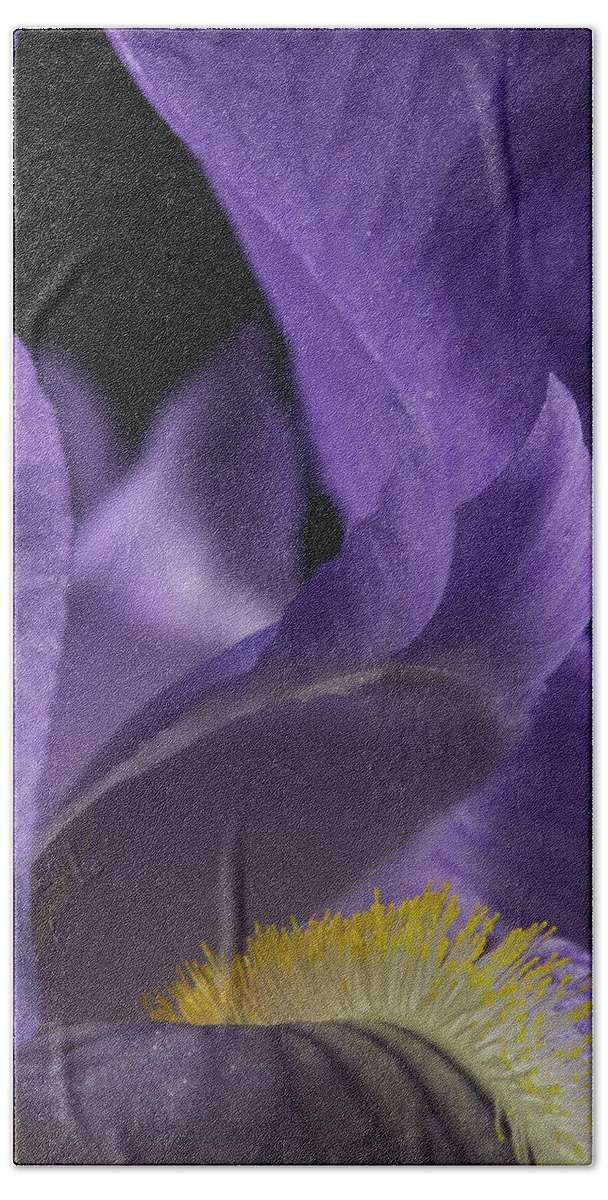 Purple Iris Bath Towel featuring the photograph Iris Series 2 by Mike Eingle