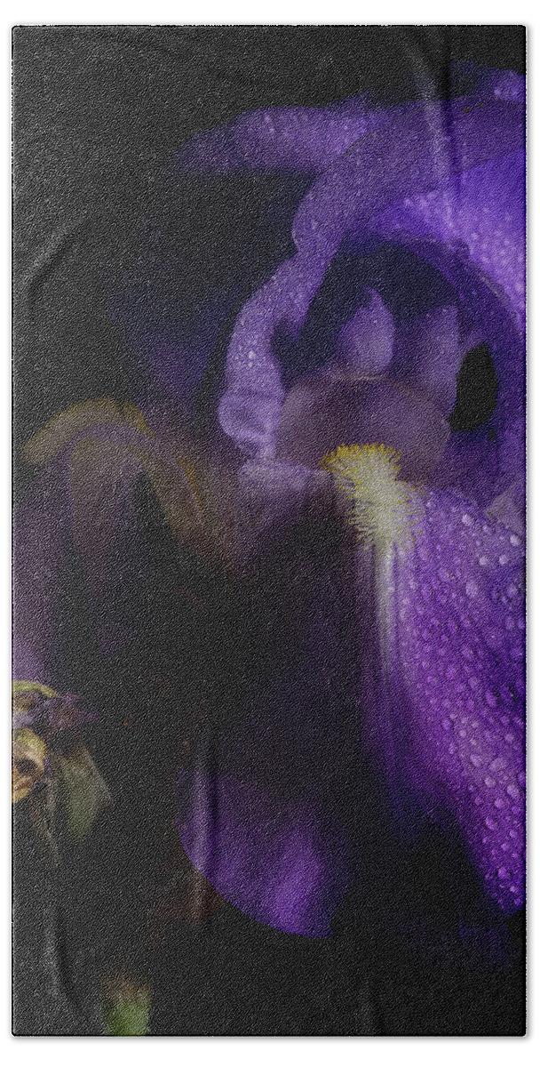 Purple Iris Bath Towel featuring the photograph Iris Series 4 by Mike Eingle