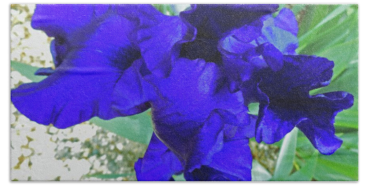Iris Hand Towel featuring the photograph Irises 3 by Ron Kandt