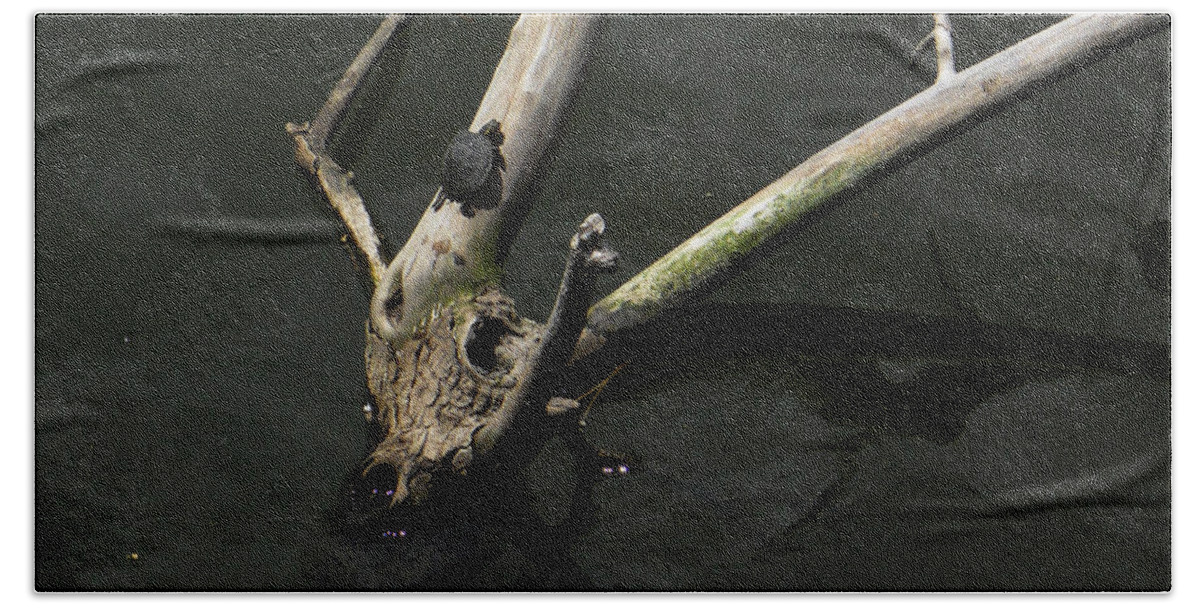 Turtle Bath Towel featuring the photograph Island Sanctuary by Maggy Marsh