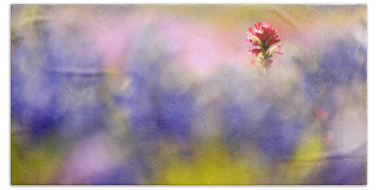 Paintbrush Bath Towel featuring the photograph Isolated Paintbrush by Ted Keller