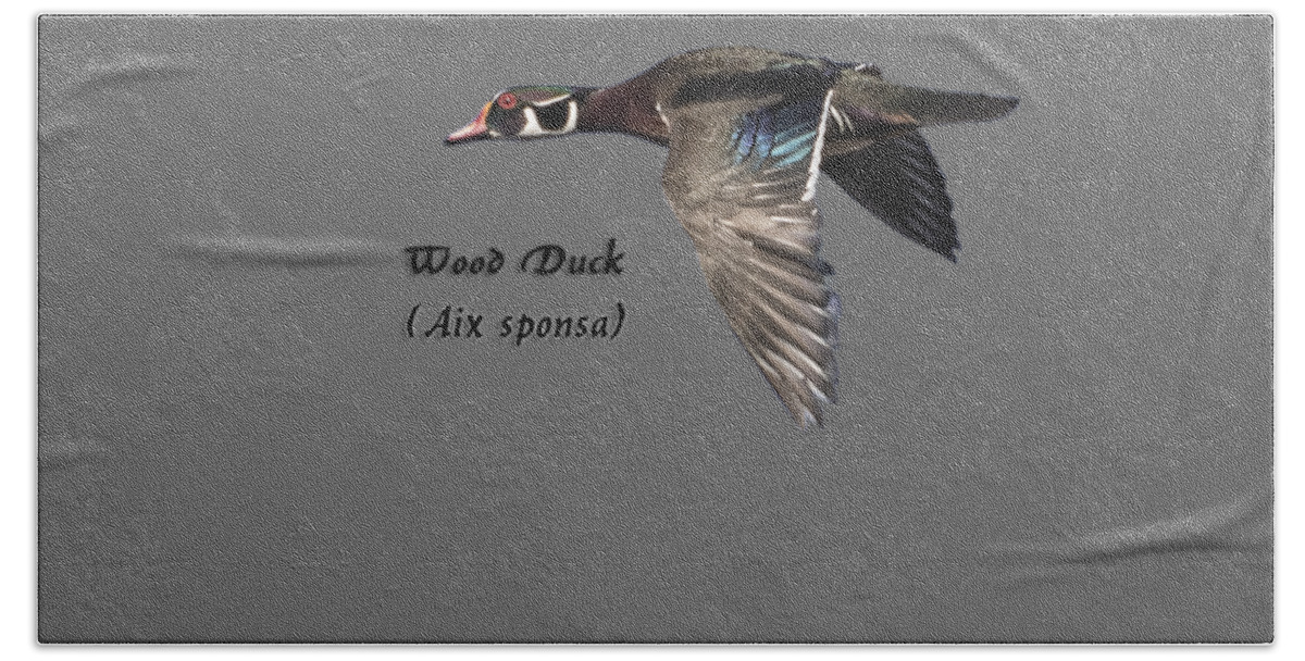 Wood Duck Hand Towel featuring the photograph Isolated Wood Duck 2017-1 by Thomas Young
