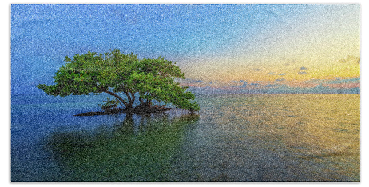 Mangrove Hand Towel featuring the photograph Isolation by Chad Dutson