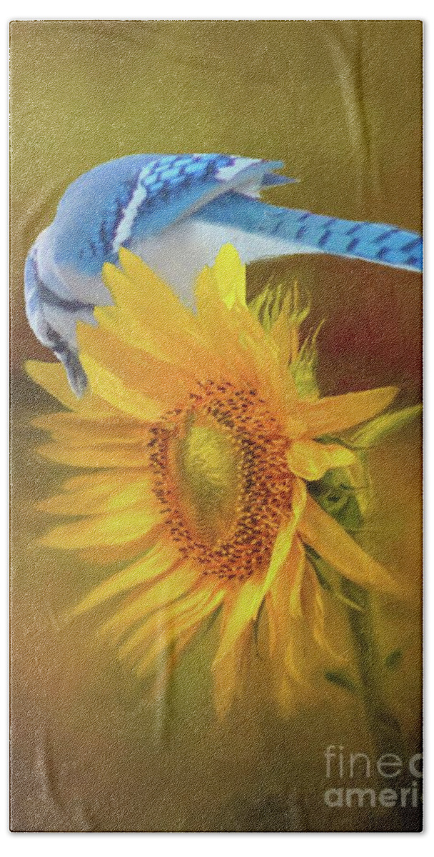 Bluejay Hand Towel featuring the photograph It is All About the Seeds by Janette Boyd