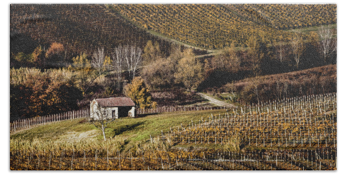 Vineyard Hand Towel featuring the photograph Italian vineyards by Livio Ferrari