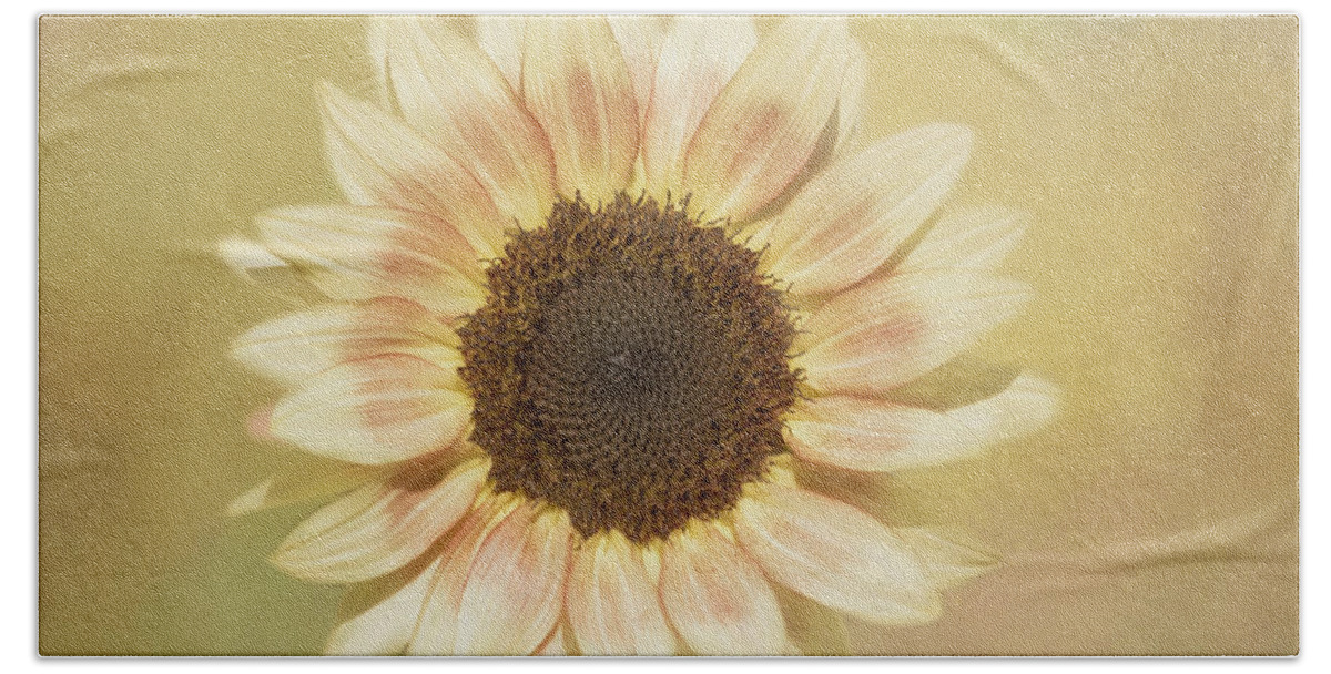 Sunflower Bath Towel featuring the photograph It's A Sunshine Day by Kim Hojnacki
