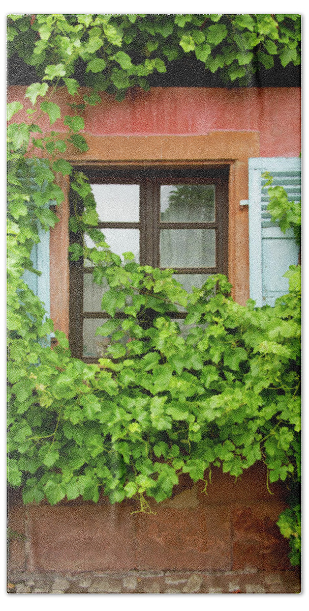Ivy Bath Towel featuring the photograph Ivy Window by Rebekah Zivicki