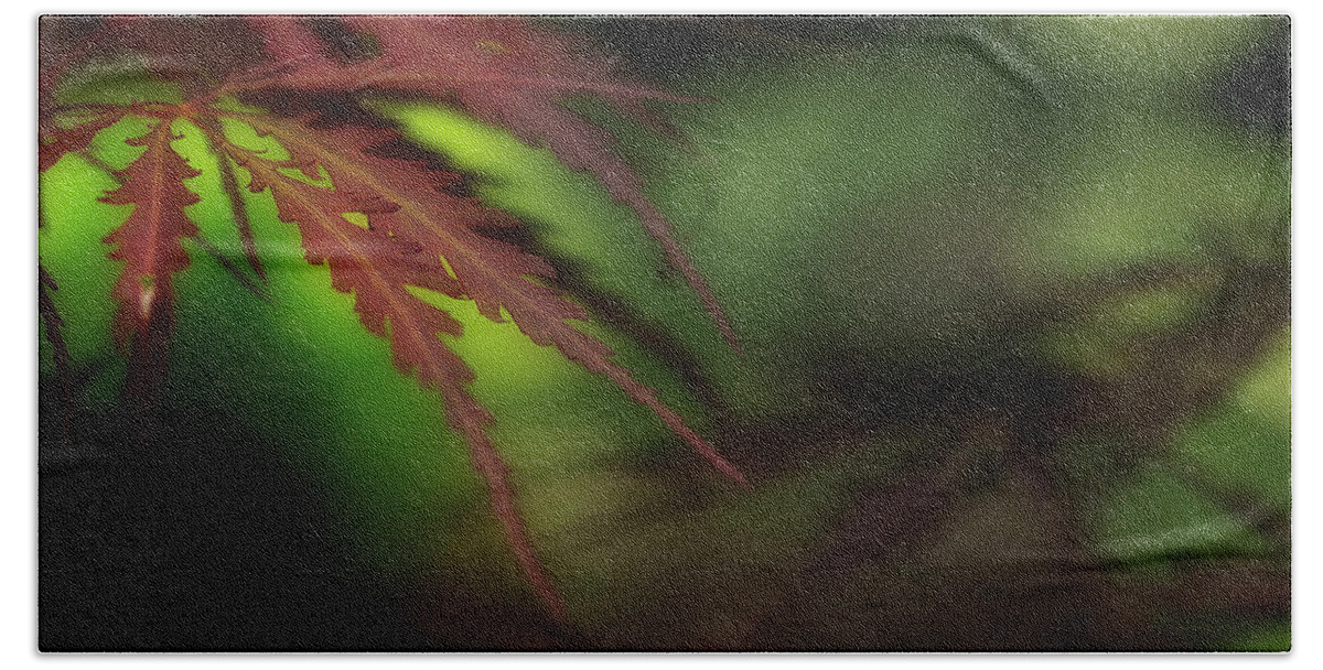 Leaves Hand Towel featuring the photograph Japanese Maple by Mike Eingle