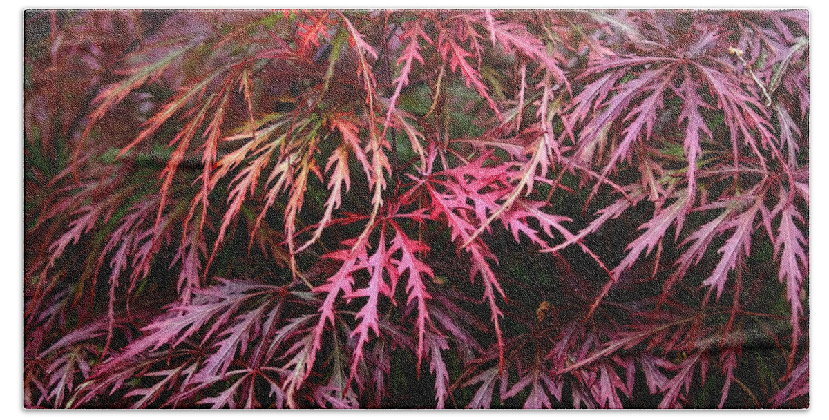 Japanese Maple Bath Towel featuring the photograph Japanese Maple by Rona Black