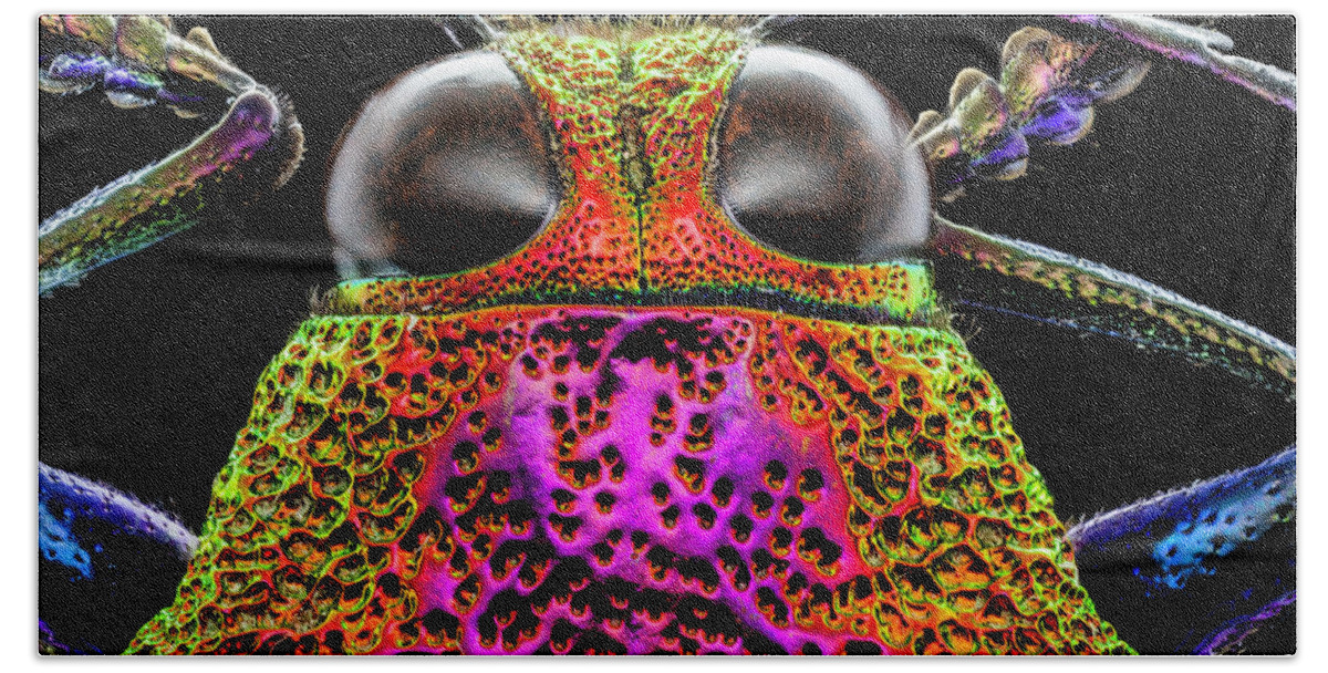 Insect Hand Towel featuring the photograph Jewel Beetle 3X by Gary Shepard