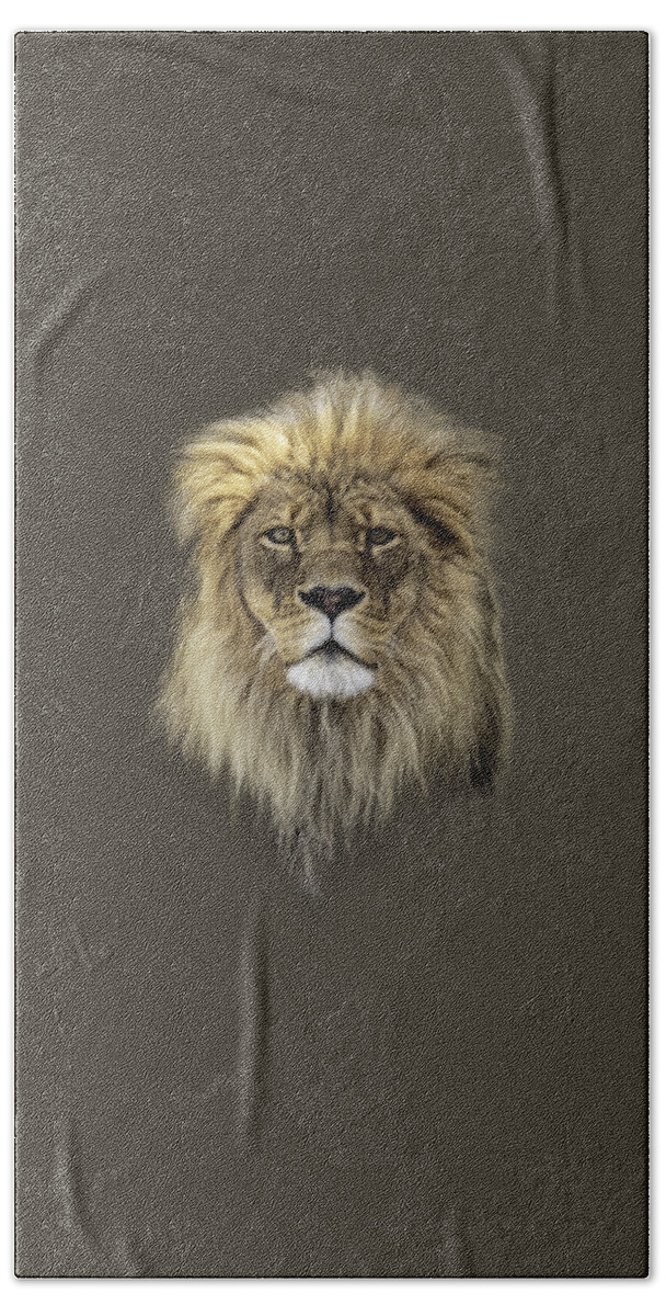 Lion Bath Towel featuring the photograph Joshua t-shirt color by Everet Regal