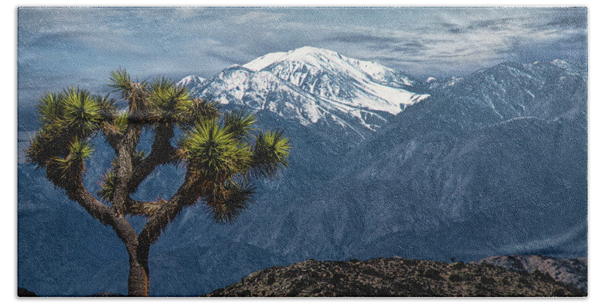California Hand Towel featuring the photograph Joshua Tree at Keys View in Joshua Park National Park by Randall Nyhof