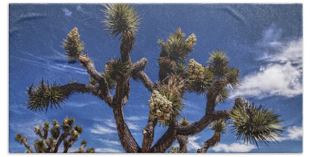 California Bath Towel featuring the photograph Joshua Trees and Clouds in Joshua Tree National Park by Randall Nyhof