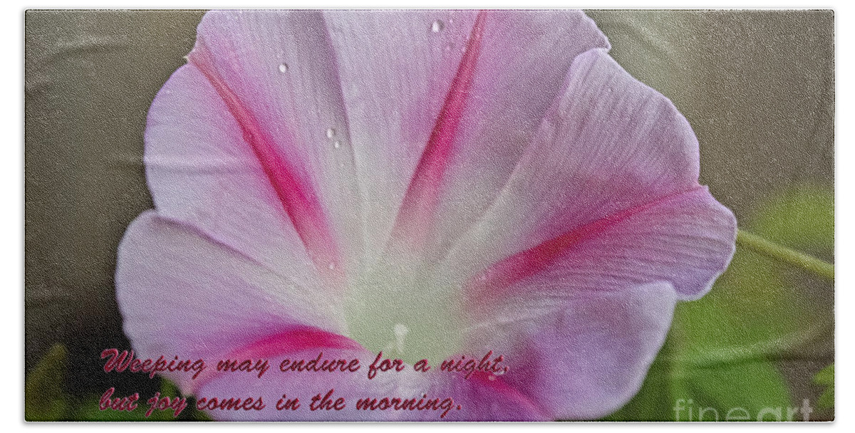 Morning Glories Hand Towel featuring the photograph Joy Comes In The Morning by Barbara Dean