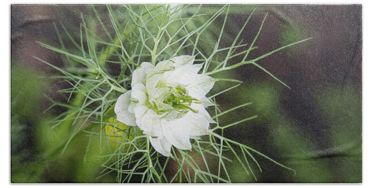 White Flowers Bath Towel featuring the photograph Joy In The Morning by Sharon McConnell