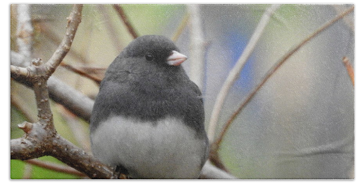 Backyard Bath Towel featuring the photograph Junco by Betty-Anne McDonald