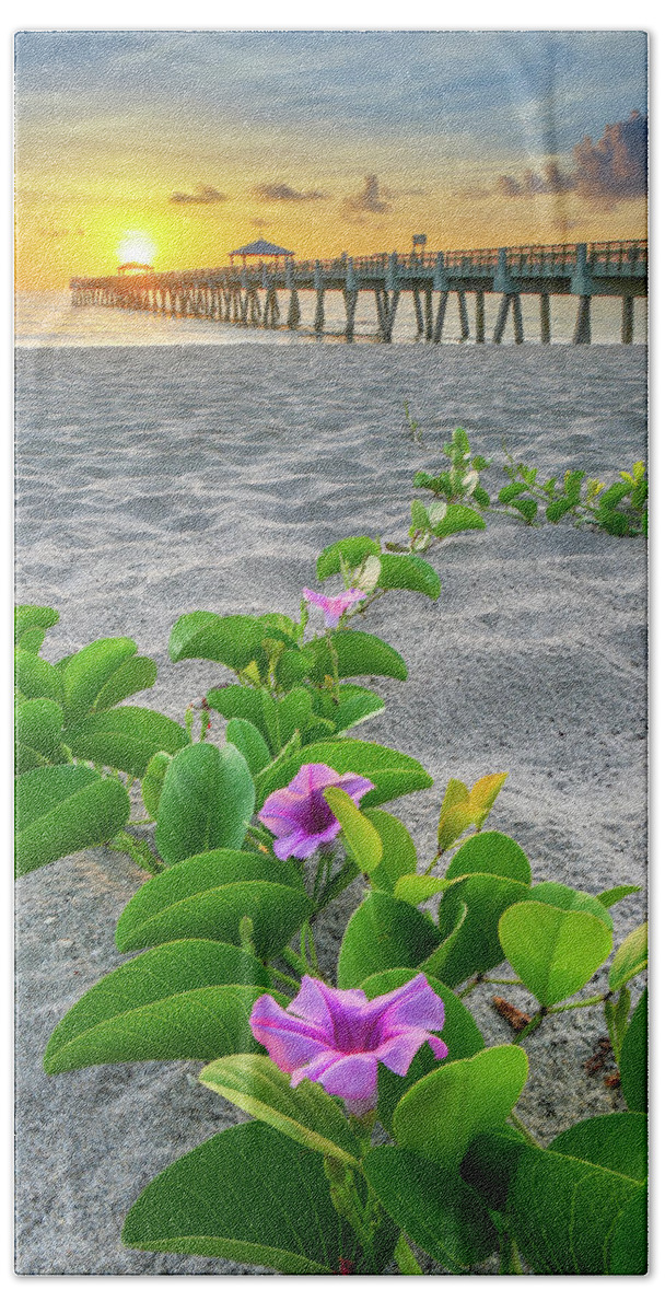 Juno Beach Hand Towel featuring the photograph Juno Beach Pier Purple Flowers by Kim Seng