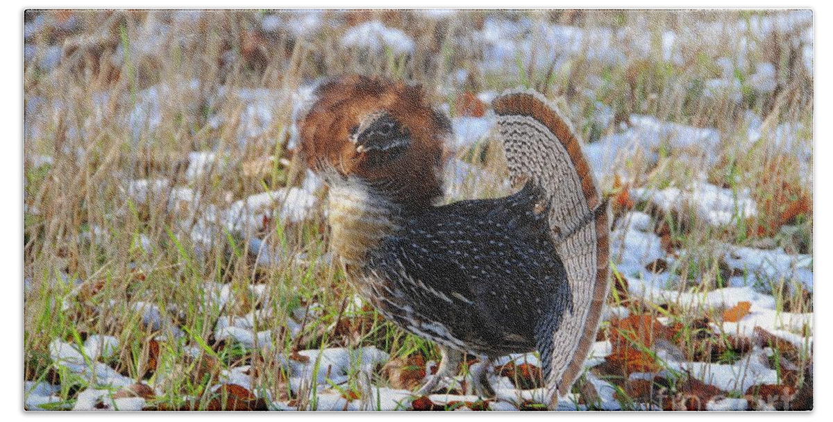 Grouse Bath Towel featuring the photograph Just a Strutting by Sandra Updyke