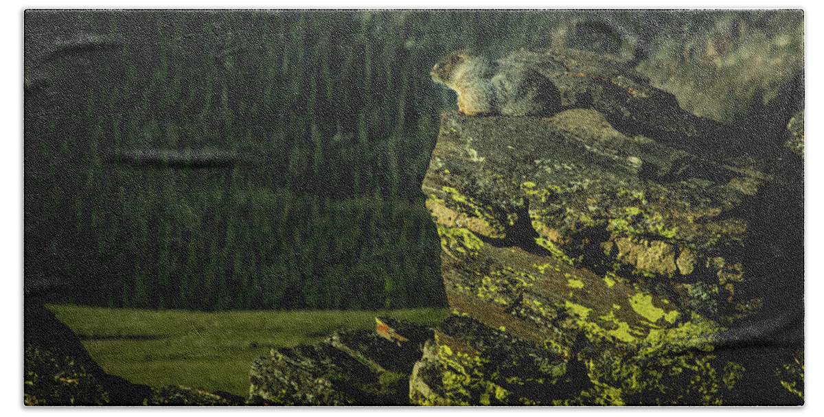Marmot Bath Towel featuring the photograph Just Hangin' Out by Janis Connell
