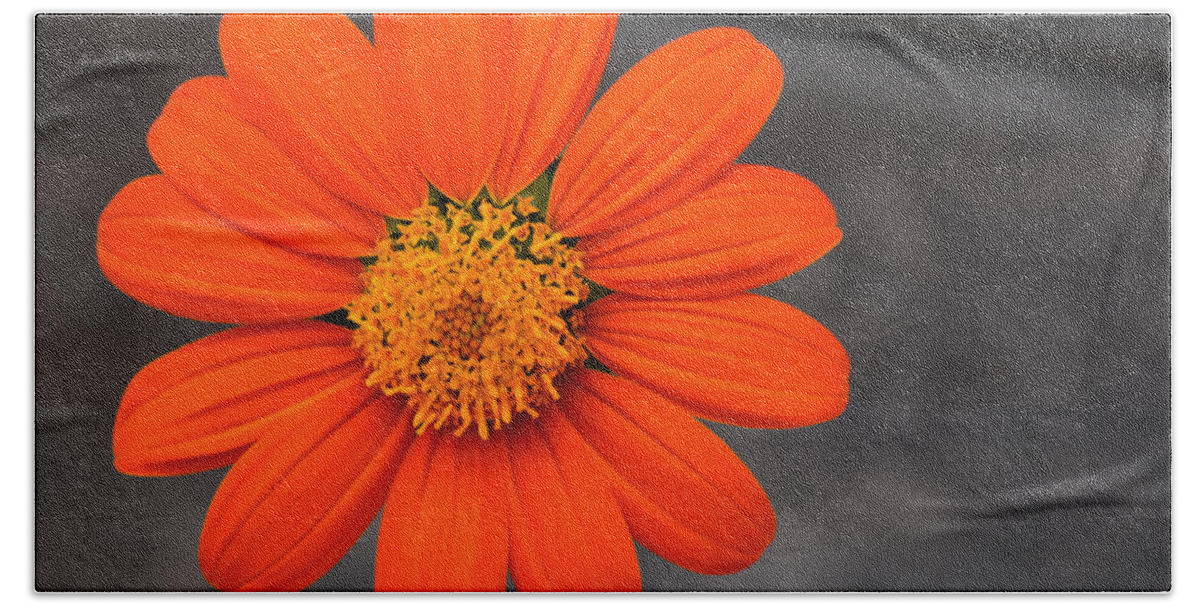 Flower Bath Towel featuring the photograph Just Hanging Out by Maria Keady