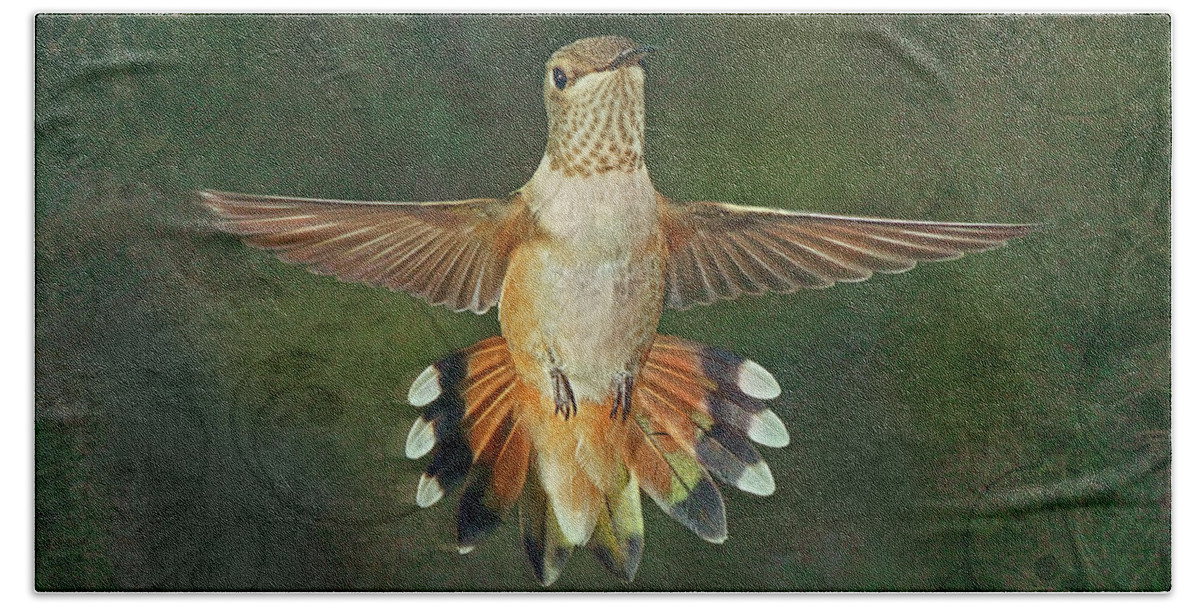 Male Rufus Hummingbird Hand Towel featuring the photograph Just this Instant by Theo O'Connor