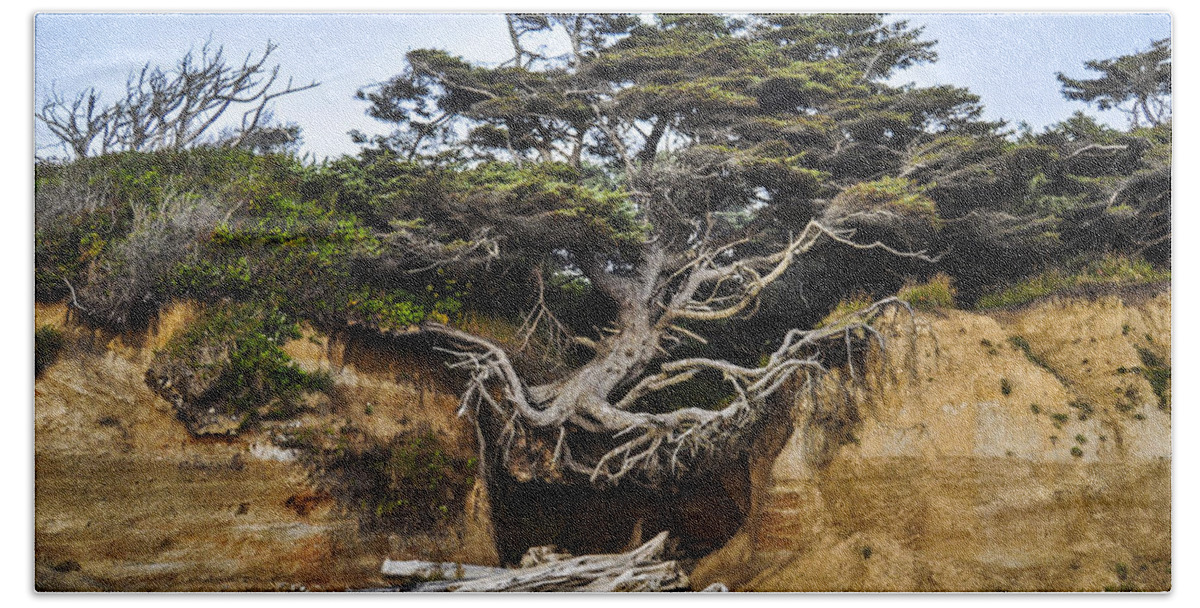Lone Bath Towel featuring the photograph Kalaloch Hanging Tree by Pelo Blanco Photo
