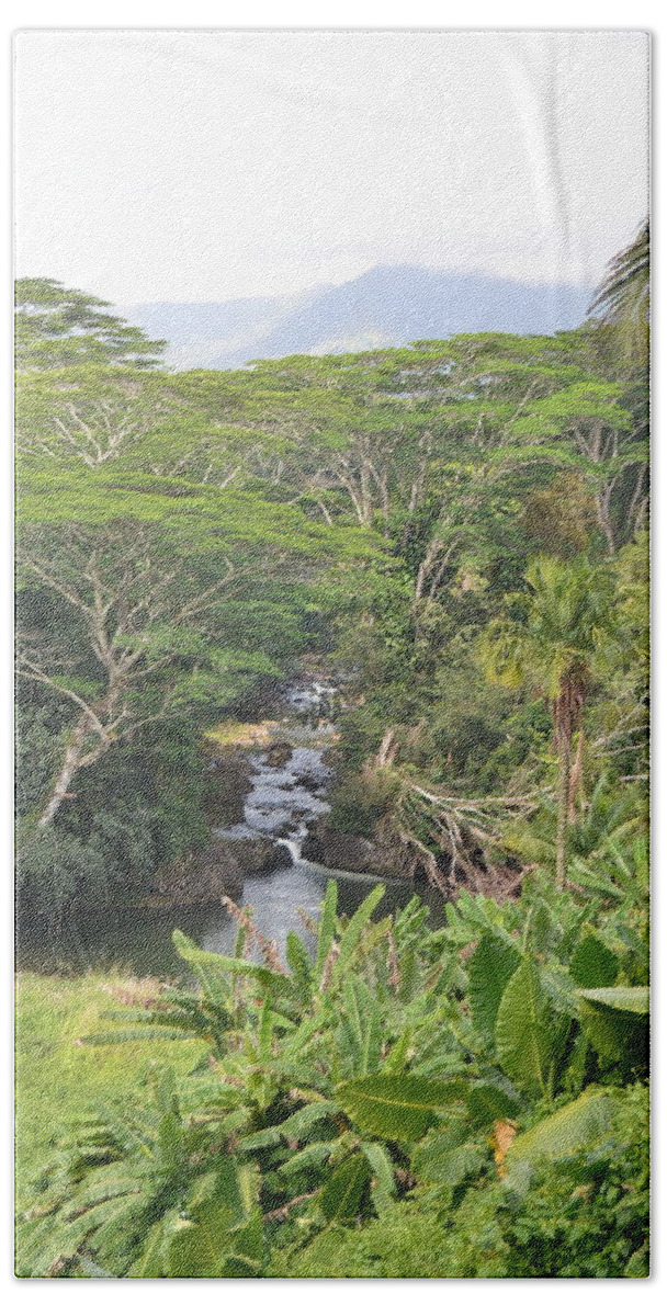 Kauai Bath Towel featuring the photograph Kauai Hindu Monastery River Valley 1 by Amy Fose