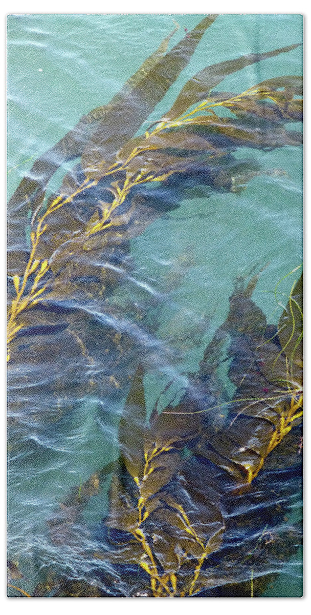 Monterey Bay Aquarium Hand Towel featuring the photograph Kelp Patterns by Amelia Racca
