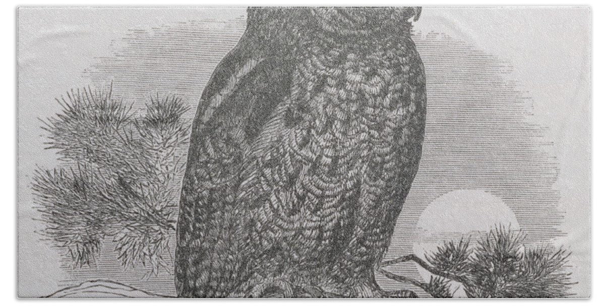 Owl Hand Towel featuring the drawing Kennicott's Owl by HH Nicholls