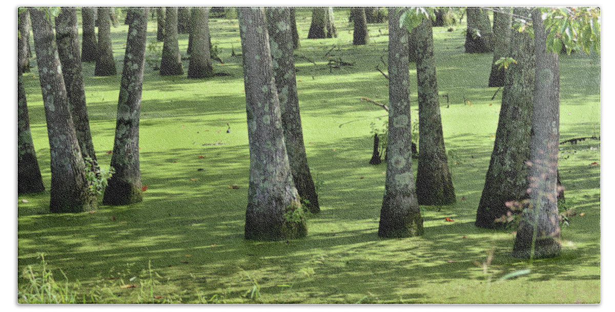 Hollow Bath Towel featuring the photograph Kentucky Swamp by Kathy Kelly