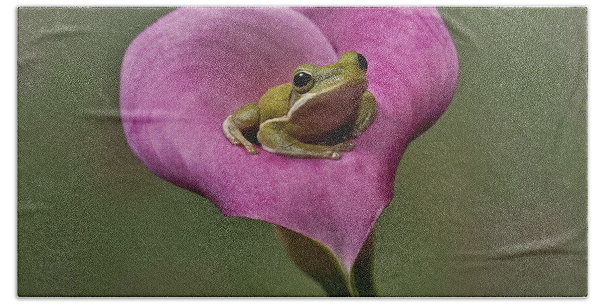 Calla Bath Towel featuring the photograph Kermit Hangs Out by Susan Candelario