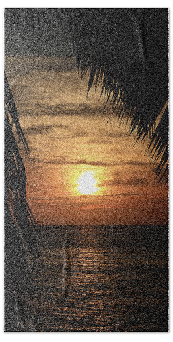 Silhouette Bath Towel featuring the photograph Key West Palm Sunset 2 by Bob Slitzan