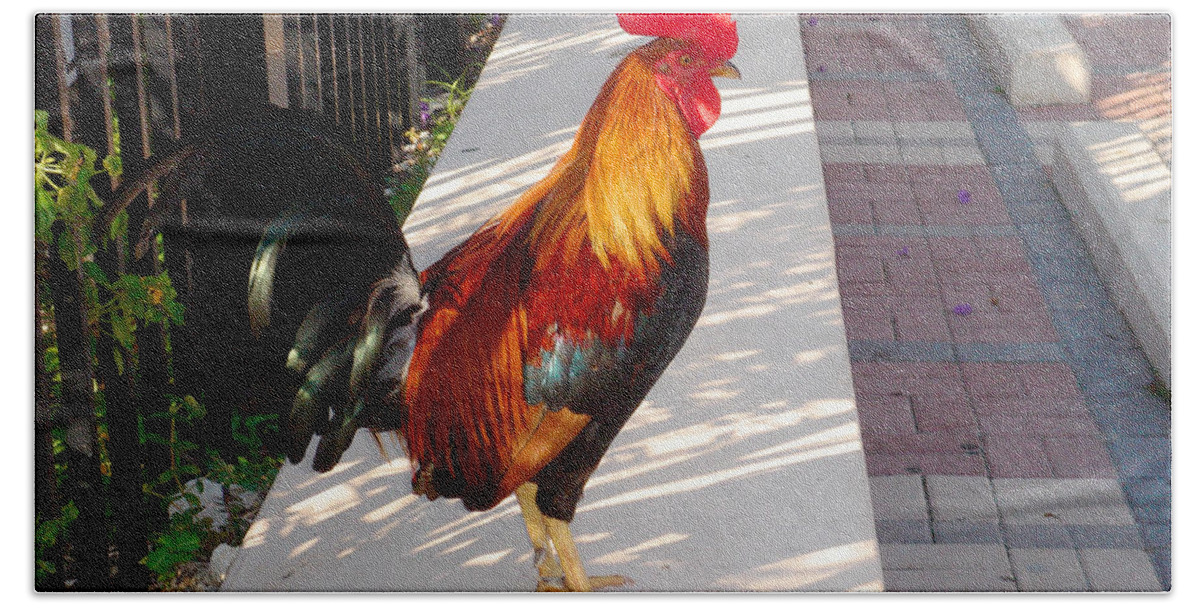 Photography Hand Towel featuring the photograph Key West Rooster by Susanne Van Hulst