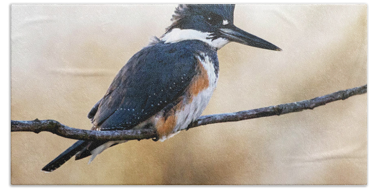 Bird Hand Towel featuring the photograph Kingfisher Listens by Art Cole