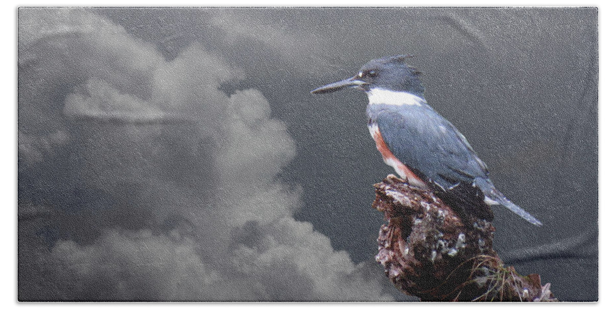 Bird Hand Towel featuring the photograph Kingfisher Stormy Background by Rosalie Scanlon