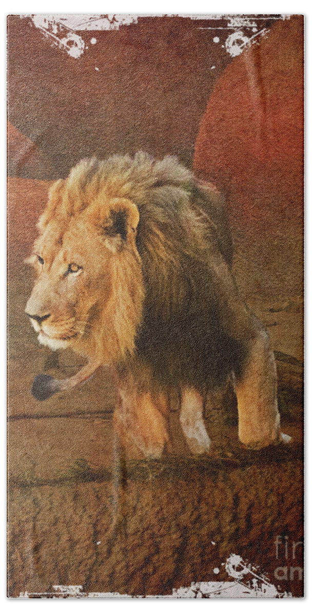 Lion Hand Towel featuring the photograph King_of_theJungle by Scott Parker