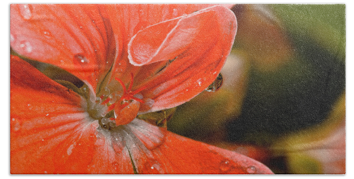 Flower Bath Towel featuring the photograph Kissed By The Rain by Christopher Holmes