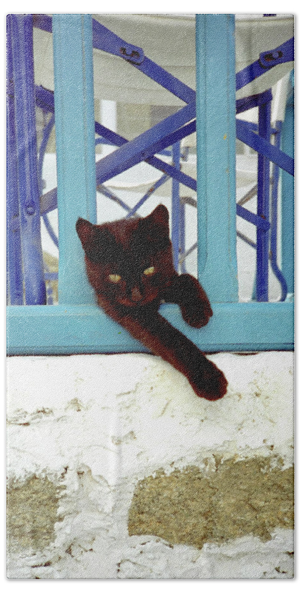 Cuddly Hand Towel featuring the photograph Kitten with Blue Rail by Frank DiMarco