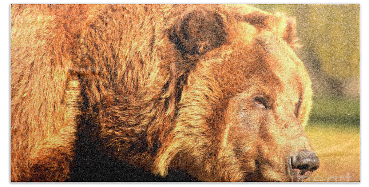 Grizzly Bear Hand Towel featuring the photograph Kodiak Snout by Adam Jewell