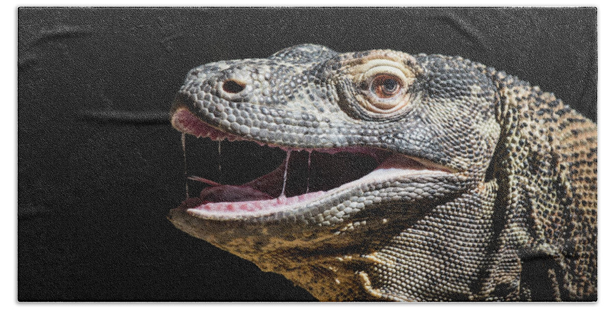 Zoo Bath Towel featuring the photograph Komodo Dragon Profile by Bill Cubitt