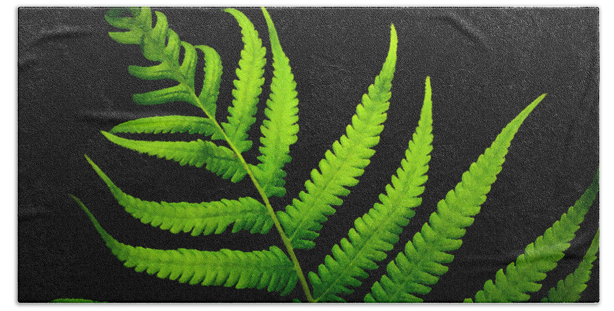 Fern Bath Towel featuring the photograph Lady Green by Lorenzo Cassina