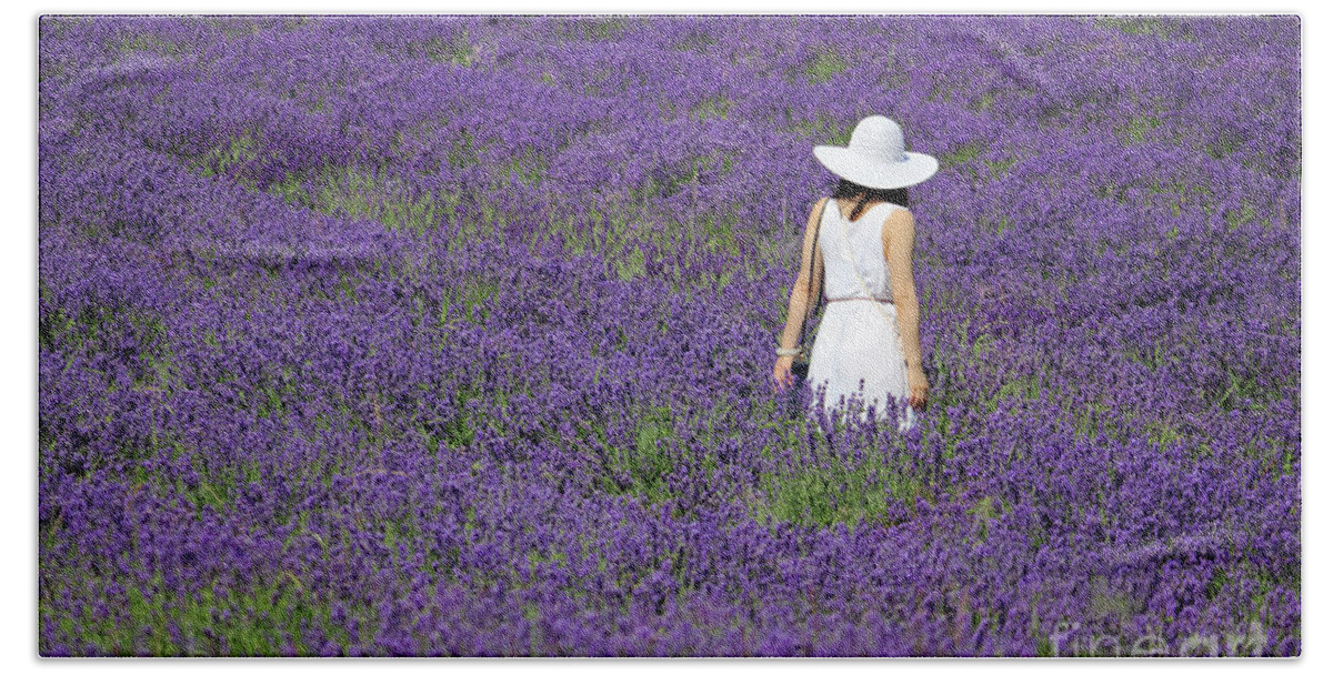 Lady In Lavender Field Hand Towel featuring the photograph Lady in Lavender Field by Julia Gavin